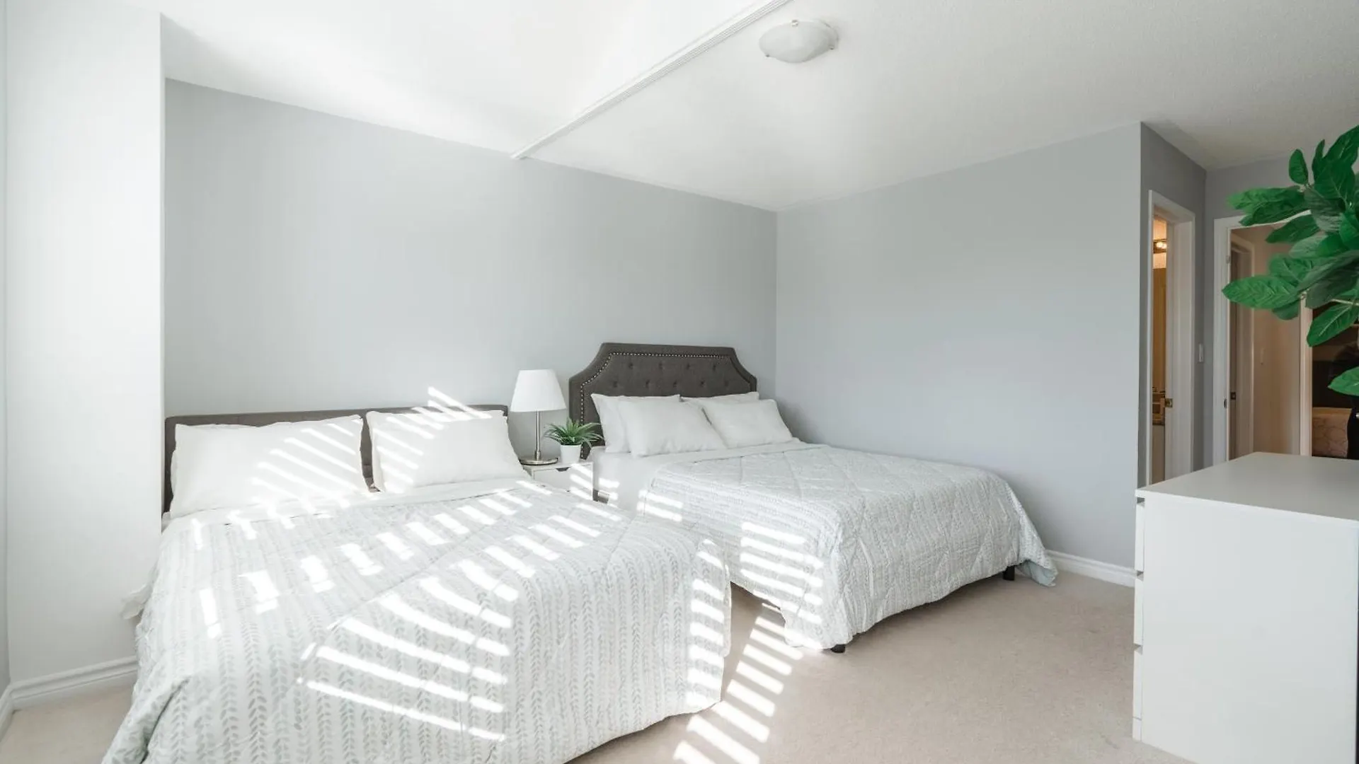 Cozy 5 Bedroom House Mississauga 0*,  Canada